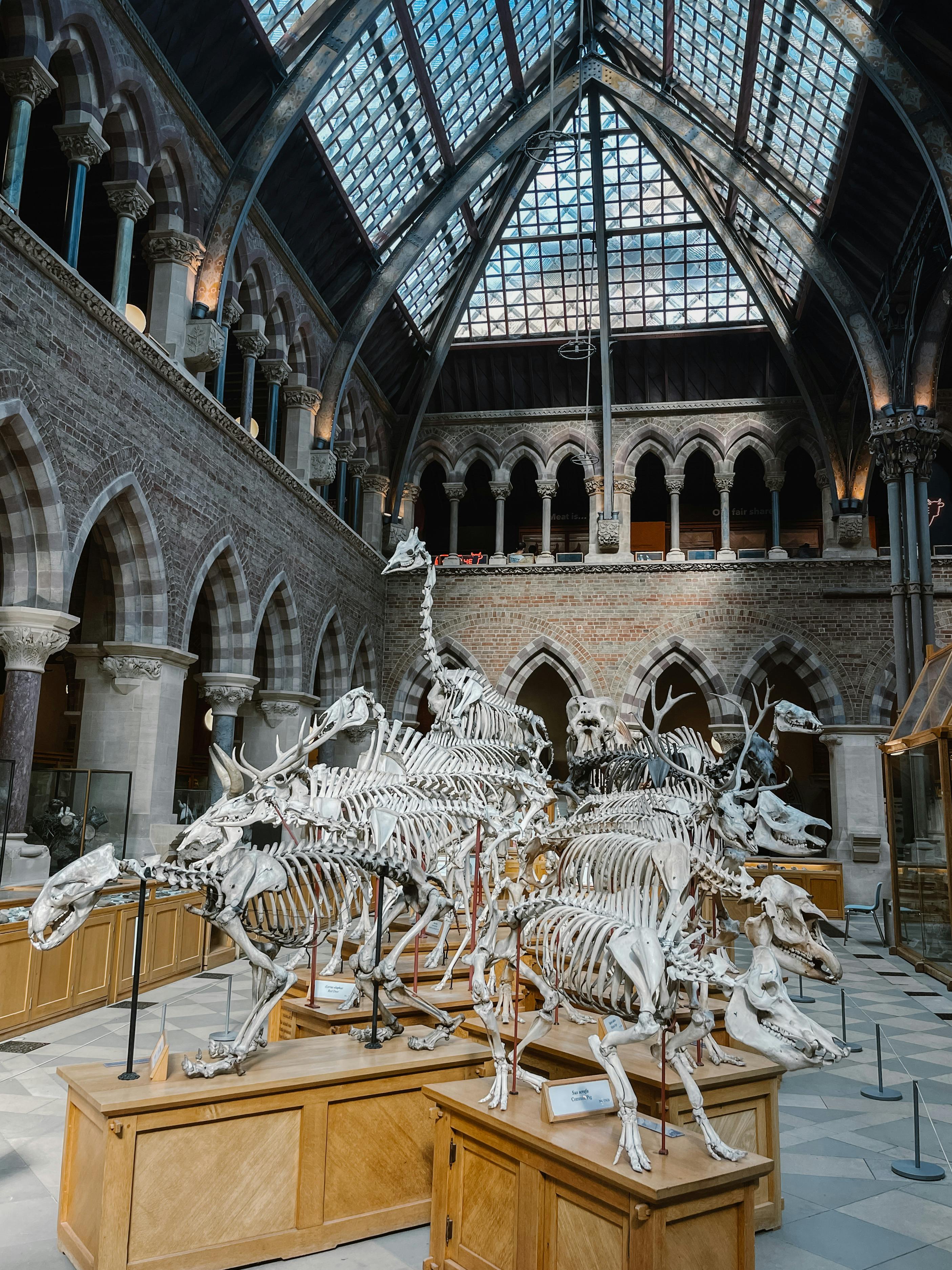 Oxford Historic Landmarks Ashmolean Museum