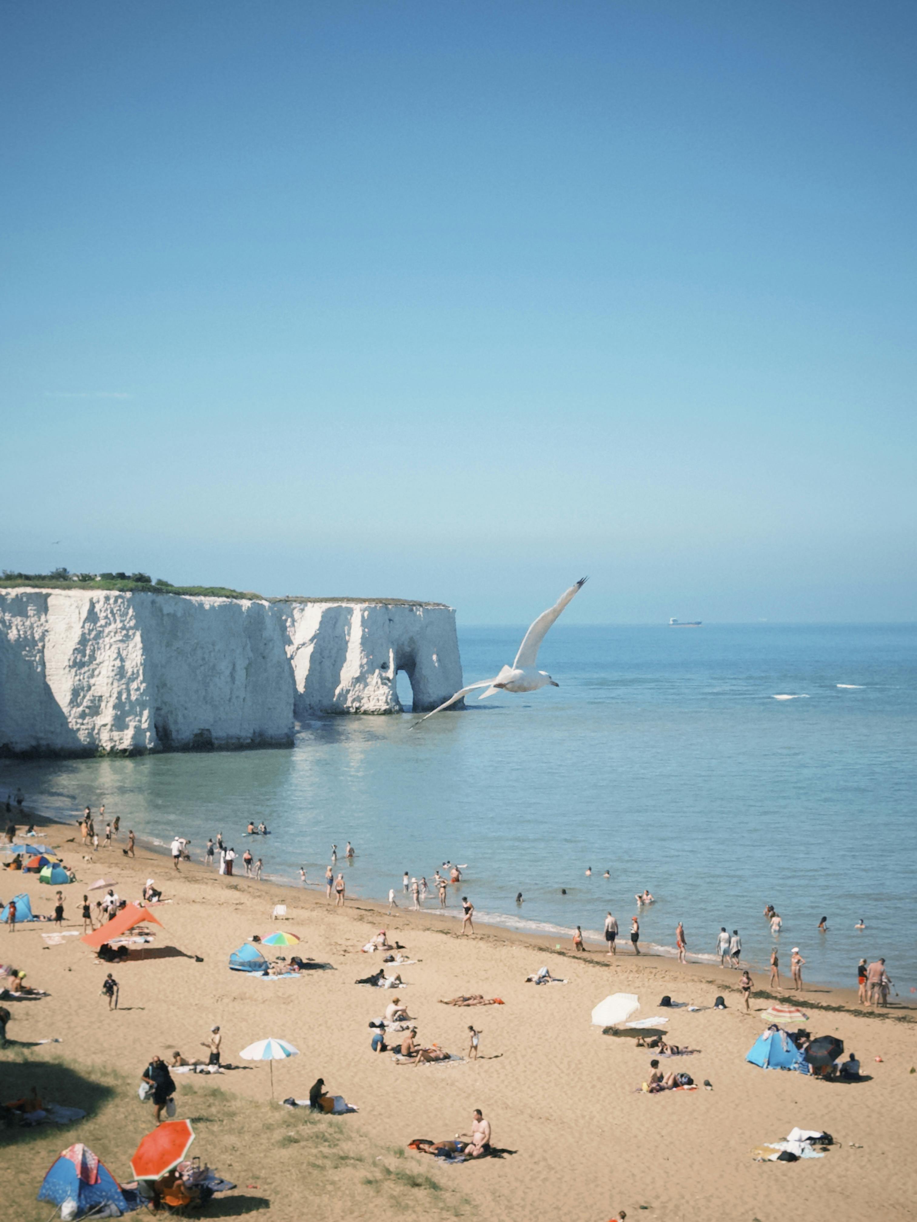 Brighton Seaside Destination Brighton Beach